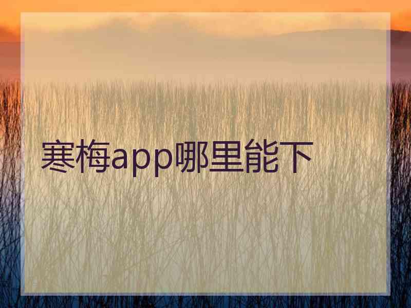 寒梅app哪里能下