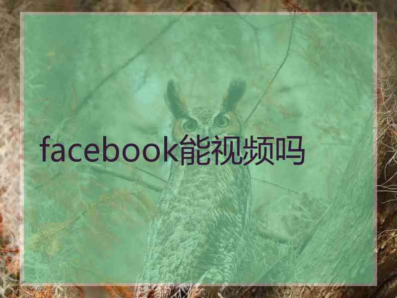 facebook能视频吗