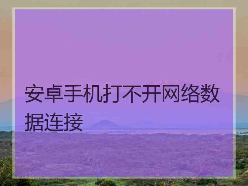 安卓手机打不开网络数据连接