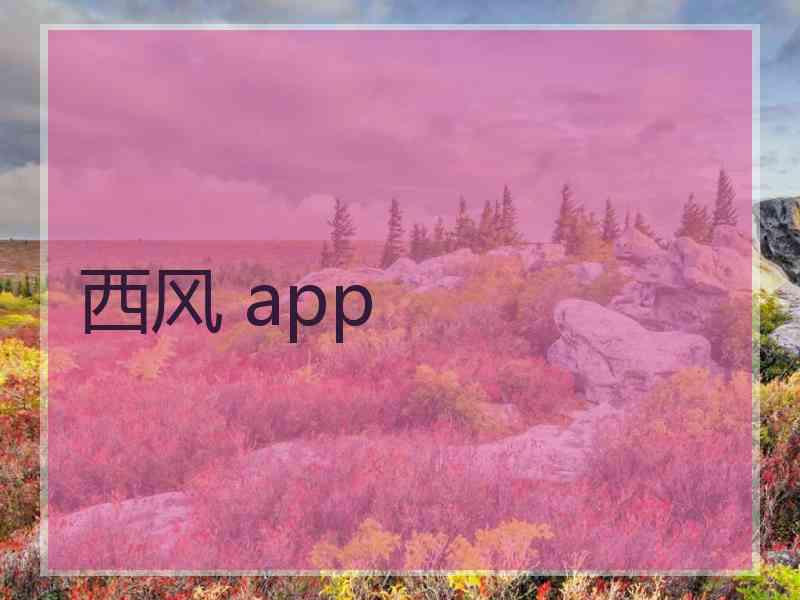 西风 app