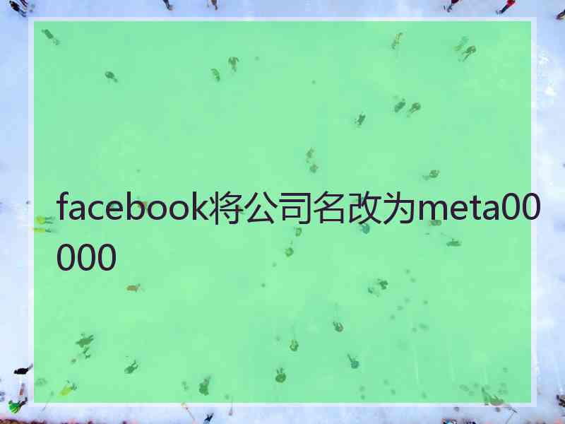 facebook将公司名改为meta00000