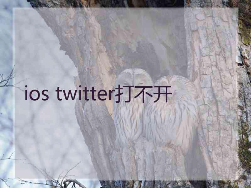 ios twitter打不开