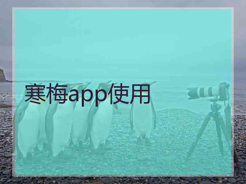 寒梅app使用