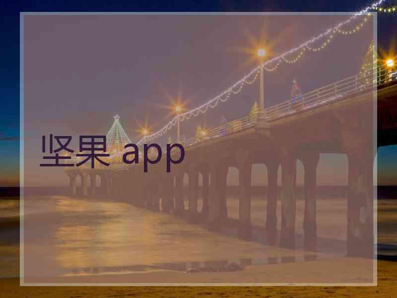 坚果 app