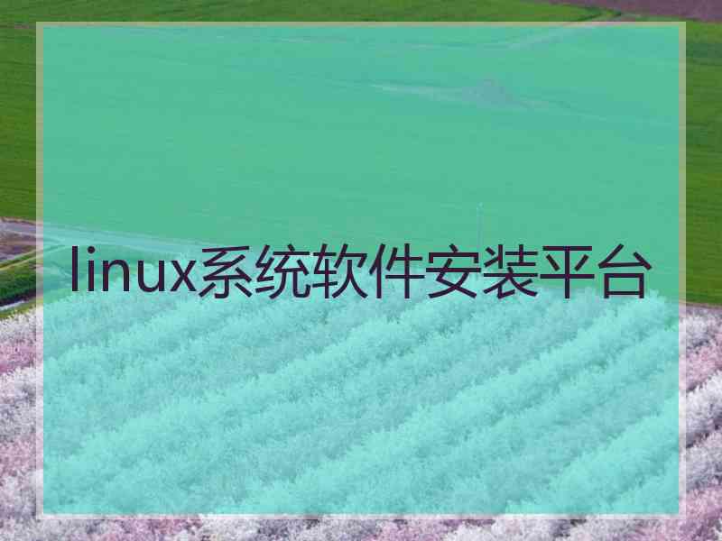 linux系统软件安装平台