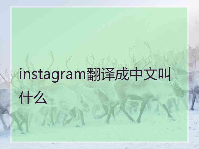 instagram翻译成中文叫什么