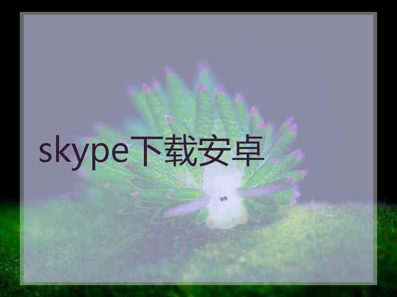 skype下载安卓