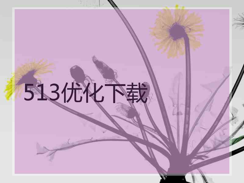 513优化下载