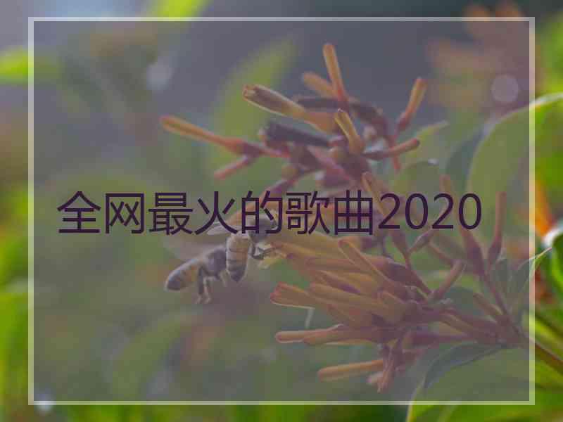 全网最火的歌曲2020