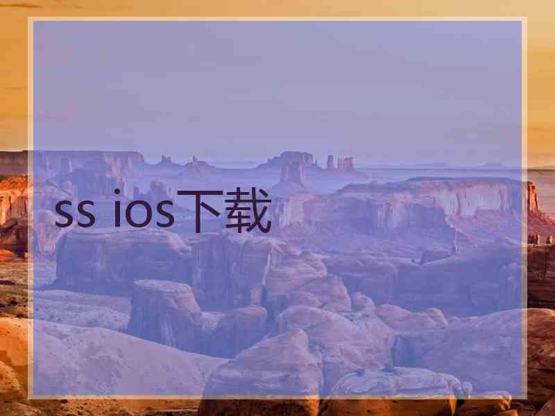 ss ios下载