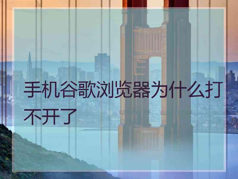 手机谷歌浏览器为什么打不开了