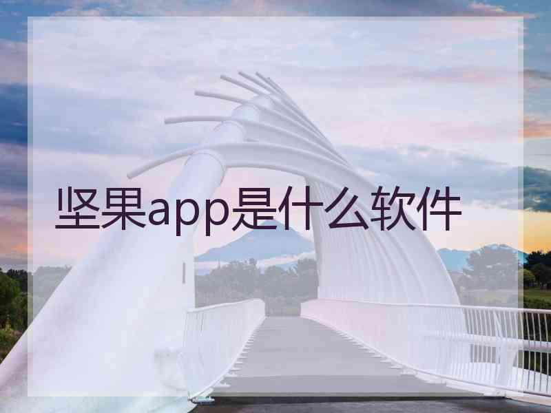 坚果app是什么软件